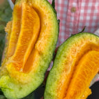 Semillas de melón: el melón más adecuado para personas mayores y niños