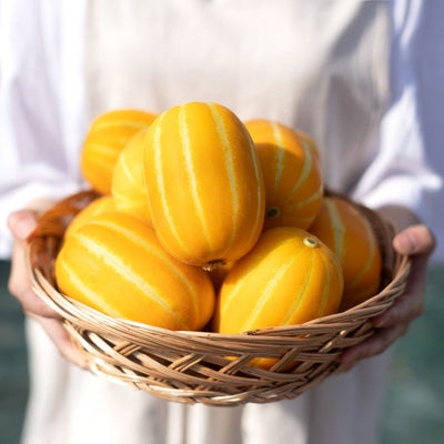 Semillas de melón dorado