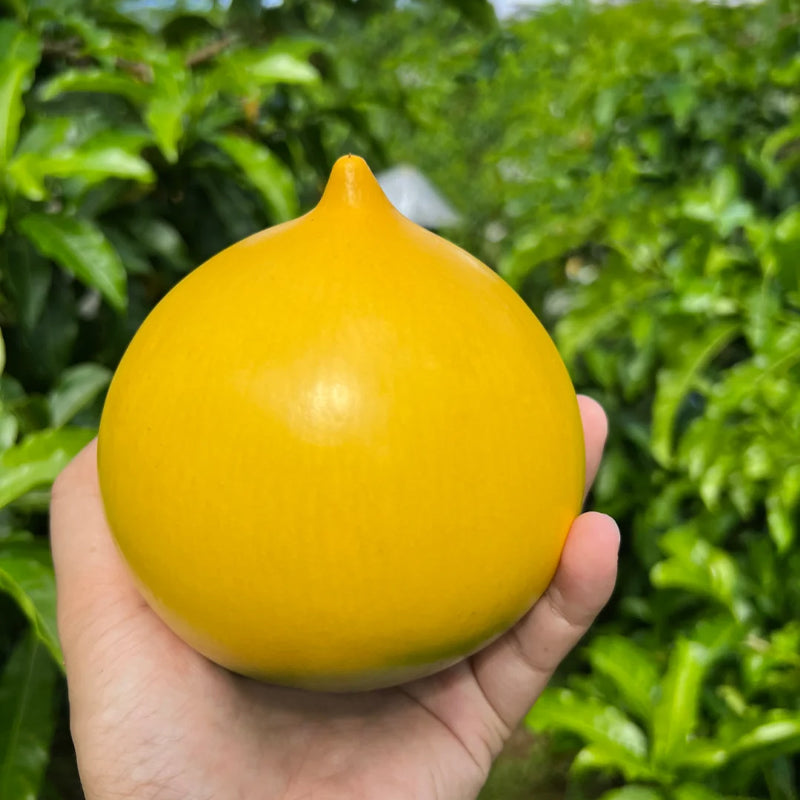 Semillas de Fruta Dorada